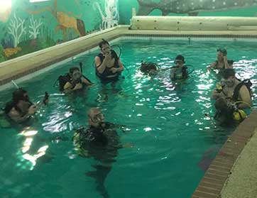 WhatsNewBerryDiveSchool