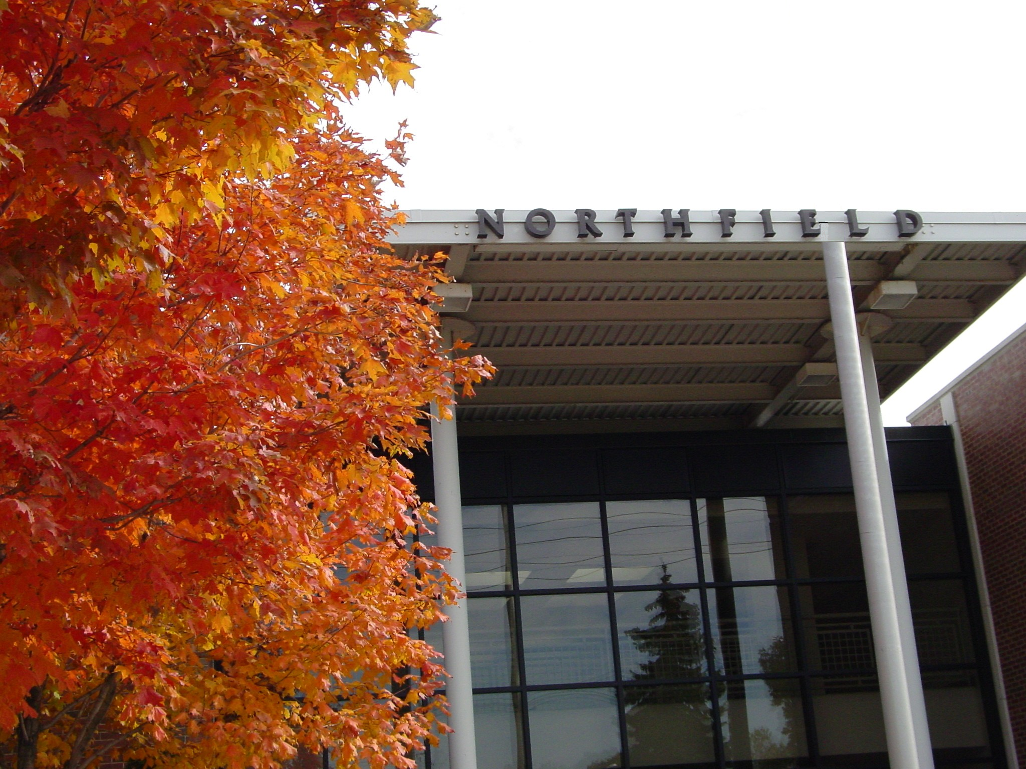 Northfield entrance with tree.bmp